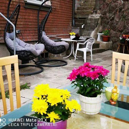 Rosen Garten Haus Титизее-Нойщат Екстериор снимка